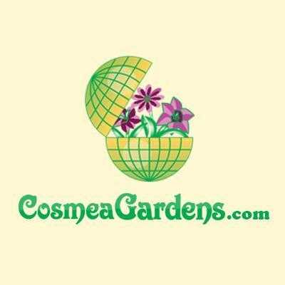 Cosmea Gardens